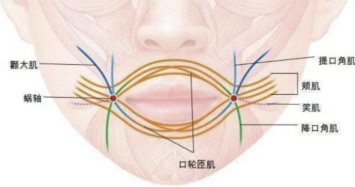 K老別忽視唇，一下老十歲！
